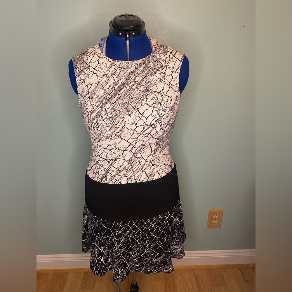 BCBG COLORBLOCK MINI DRESS